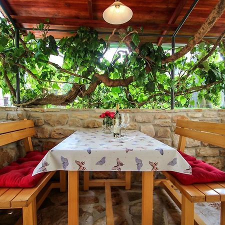 Carla Guest House Novigrad (Istria) Exterior photo